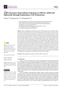 AQP3 Increases Intercellular Cohesion in NSCLC A549 Cell Spheroids Through Exploratory Cell Protrusions