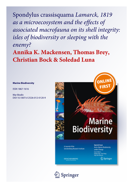 Spondylus Crassisquama Lamarck, 1819 As a Microecosystem and the Effects of Associated Macrofauna on Its Shell Integrity