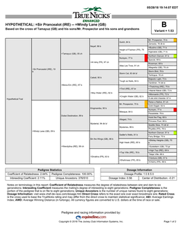 Sir Prancealot (IRE) -- =Windy Lane (GB) B Based on the Cross of Tamayuz (GB) and His Sons/Mr