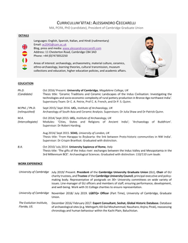 Curriculum Vitae:Alessandro Ceccarelli