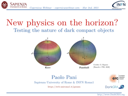 New Physics on the Horizon? Testing the Nature of Dark Compact Objects