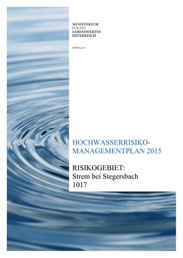 HOCHWASSERRISIKO- MANAGEMENTPLAN 2015 RISIKOGEBIET: Strem Bei Stegersbach 1017