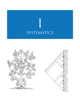 Plant Systematics: an Overview