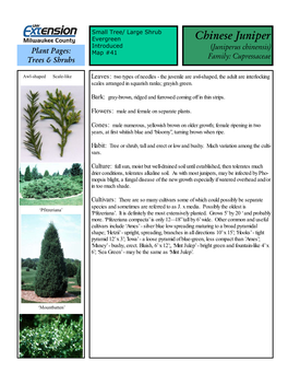 Chinese Juniper Introduced (Juniperus Chinensis) Plant Pages: Map #41 Family: Cupressaceae Trees & Shrubs