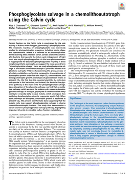 Phosphoglycolate Salvage in a Chemolithoautotroph Using the Calvin Cycle