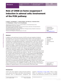 Role of CREB on Heme Oxygenase-1 Induction in Adrenal Cells: Involvement of the PI3K Pathway