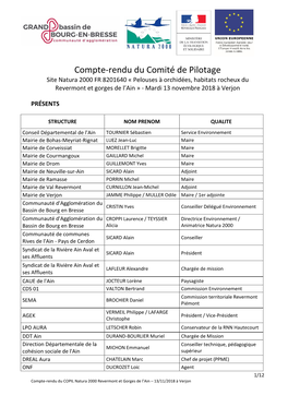 Compte-Rendu Du Comité De Pilotage