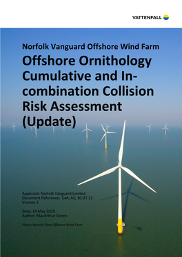 Offshore Ornithology Cumulative and In- Combination Collision Risk Assessment (Update)