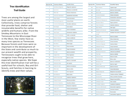 Tree Identification Trail Guide