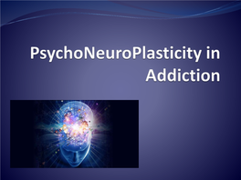 Psychoneuroplasticity (PNP Center) Program