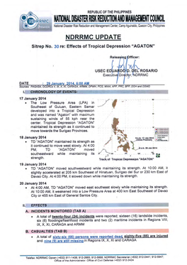 NDRRMC Update Sitrep No. 30 29 Jan 2014 6AM.Pdf