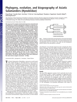 Phylogeny, Evolution, and Biogeography of Asiatic Salamanders (Hynobiidae)