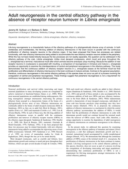 Adult Neurogenesis in the Central Olfactory Pathway in the Absence of Receptor Neuron Turnover in Libinia Emarginata