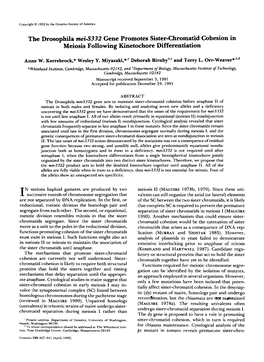 The Drosophila Mei-S332 Gene Promotes Sister-Chromatid Cohesionin Meiosis Following Kinetochore Differentiation