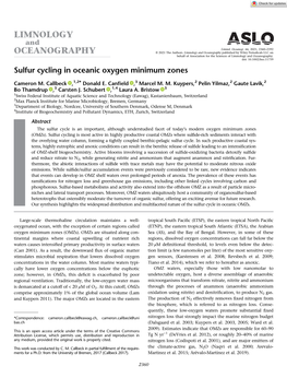 Sulfur Cycling in Oceanic Oxygen Minimum Zones