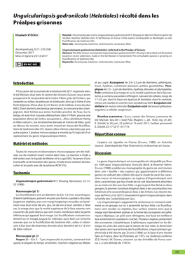 Unguiculariopsis Godroniicola (Helotiales) Récolté Dans Les Préalpes Grisonnes