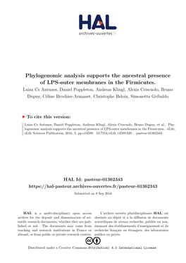 Phylogenomic Analysis Supports the Ancestral Presence of LPS-Outer Membranes in the Firmicutes