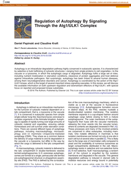 Regulation of Autophagy by Signaling Through the Atg1/ULK1 Complex