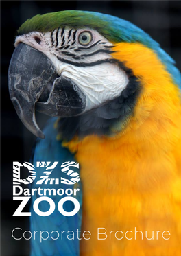 Corporate Brochure in the Beautiful Devon Countryside, with the Spectacular Moor Hillside, Dartmoor Zoological Park Offers Truly Wild and Inspiring Experiences