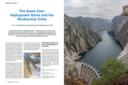 Hydropower Dams and the Biodiversity Crisis