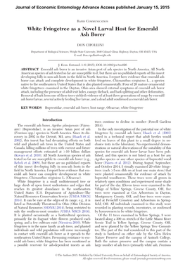 White Fringetree As a Novel Larval Host for Emerald Ash Borer