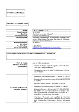 Curriculum Vitae