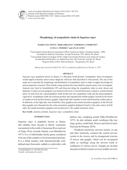 Morphology of Sympathetic Chain in Saguinus Niger