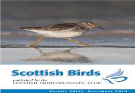 Scottish Birds