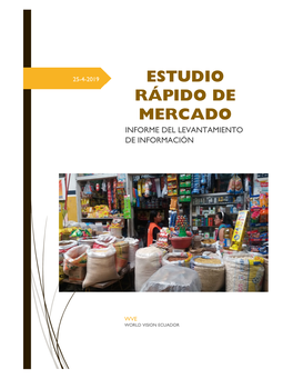 Estudio Rápido De Mercado Informe Del Levantamiento De Información