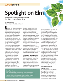 Woodsense Spotlight on Elm the Once-Common Commercial Hardwood We Almost Lost