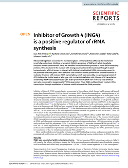 Inhibitor of Growth 4 (ING4) Is a Positive Regulator of Rrna Synthesis