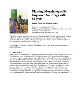 Planting Morphologically Improved Seedlings with Shovels