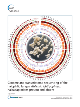 Genome and Transcriptome Sequencing of the Halophilic Fungus Wallemia Ichthyophaga: Haloadaptations Present and Absent Zajc Et Al