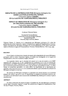 Impacto De La Depredación Por Melongena Melongena (L.) Sobre Las Poblaciones Del Ostión Cmssostren Virginica (Gmelin) En La Laguna De Tampamachoco, Veracruz