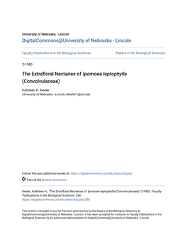 The Extrafloral Nectaries of Ipomoea Leptophylla (Convolvulaceae)