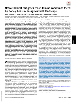 Native Habitat Mitigates Feast–Famine Conditions Faced by Honey Bees in an Agricultural Landscape