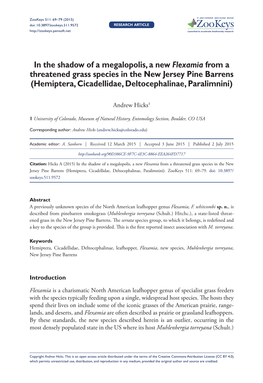 In the Shadow of a Megalopolis, a New Flexamia from a Threatened Grass Species in the New Jersey Pine Barrens (Hemiptera, Cicadellidae, Deltocephalinae, Paralimnini)