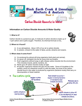 Carbon Dioxide Amounts & Water Quality