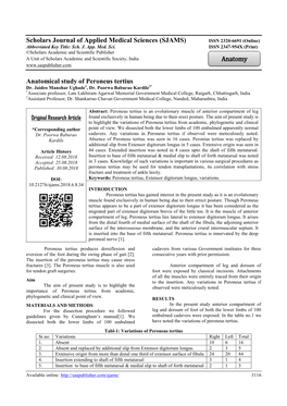 (SJAMS) Anatomical Study of Peroneus Tertius Anatomy