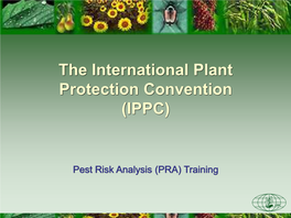 Pest Risk Analysis (PRA) Training Outline