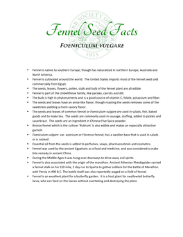 Fennel Seed Facts Foeniculum Vulgare