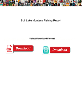 Bull Lake Montana Fishing Report