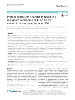 Protein Expression Changes Induced in a Malignant Melanoma Cell Line