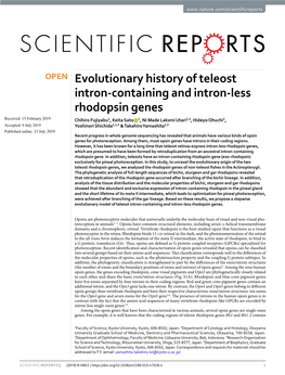 Evolutionary History of Teleost Intron-Containing and Intron-Less