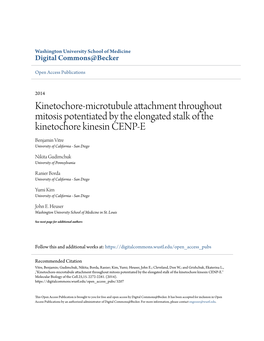 Kinetochore-Microtubule Attachment Throughout Mitosis Potentiated By