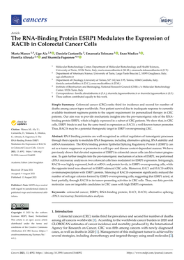 The RNA-Binding Protein ESRP1 Modulates the Expression of Rac1b in Colorectal Cancer Cells