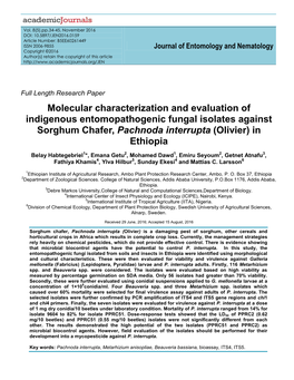 Molecular Characterization and Evaluation of Indigenous Entomopathogenic Fungal Isolates Against Sorghum Chafer, Pachnoda Interrupta (Olivier) in Ethiopia