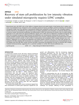 Recovery of Stem Cell Proliferation by Low Intensity Vibration Under Simulated Microgravity Requires LINC Complex