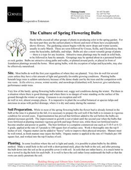 The Culture of Spring Flowering Bulbs