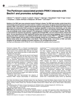 The Parkinson-Associated Protein PINK1 Interacts with Beclin1 and Promotes Autophagy